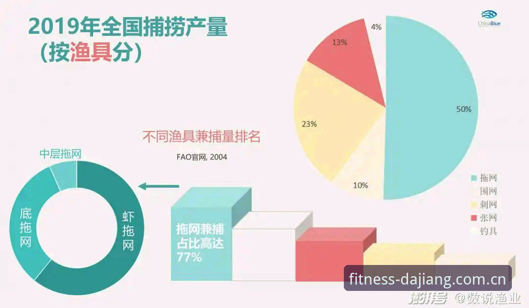 大江体育安装官网改版复盘：从“卡顿看球”到“实时吃数据”的完整指南